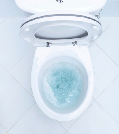 “Turf and Toilet” rebate program launched statewide - California Water ...