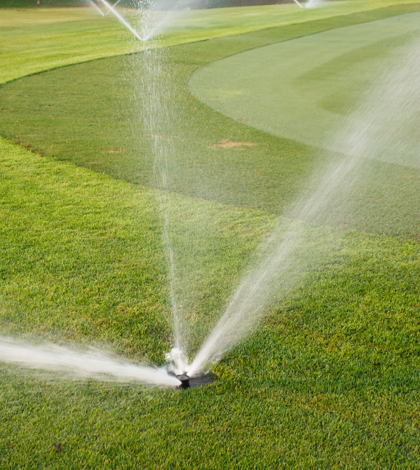 California golf courses wasting valuable water