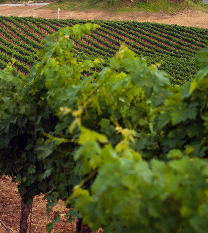 Major infrastructure completed for Temecula Wine Country