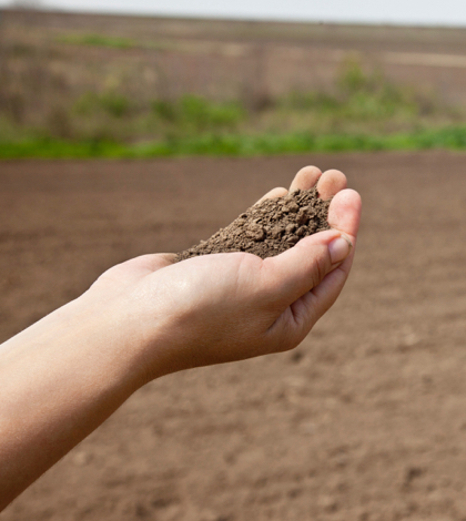 Soil: the answer to understanding the California drought?
