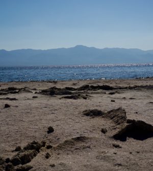 Salton Sea Authority, Partners complete the first State-Funded Project ...