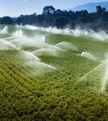 Wastewater to irrigate food crops in California