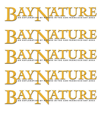 The Bay Nature Institute