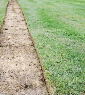 Metropolitan Water District Makes Turf Removal Easier with Step-By-Step ...