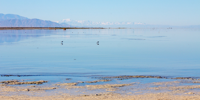 Army Corps provides funding for Salton Sea Feasibility study