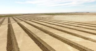 Imperial Irrigation District completes first phase air quality project at Salton Sea