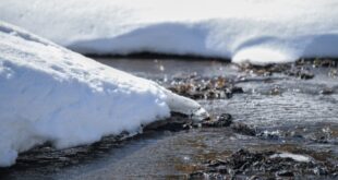 March snow survey has officials predicting third consecutive dry year