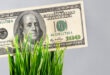 CVWD partners with Rancho Mirage to offer larger turf rebate
