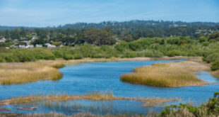 New pump stations reduce reliance on Carmel River