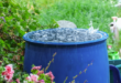 West Basin to give away up to 1,500 free rain barrels this fall