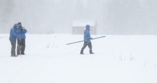 State has disappointing snow survey at Phillips Station